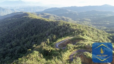 Tỷ lệ che phủ rừng của Khánh Hòa đạt gần 46%